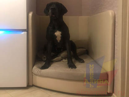 Диваны для собак с высокими спинками на заказ Диваны для собак с высокими спинками на заказ