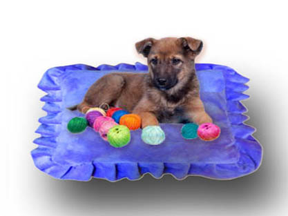 Подушка диванная для животных Антошка-Крошка Подушка диванная для животных Антошка-Крошка