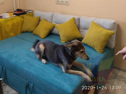 Диван для кухни на заказ по размерам заказчика Диван для кухни на заказ по размерам заказчика