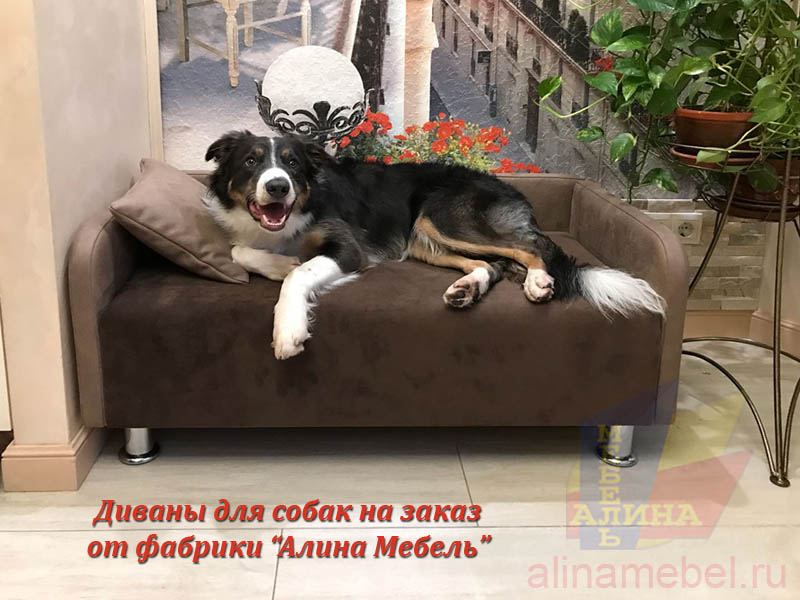 Изготовление дивана для собаки