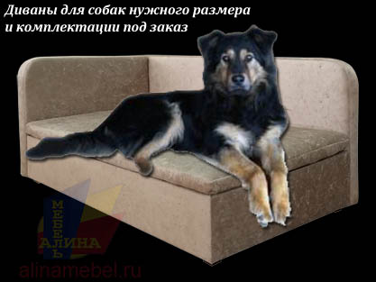 Нестандартные диваны для собак под заказчика