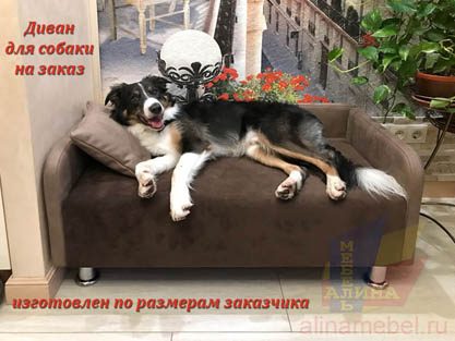 Производство диванов для собак под заказчика
