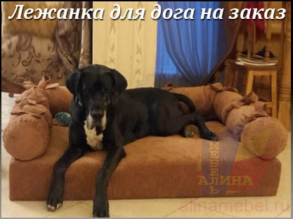 Изготовление лежанок на заказ для крупных собак