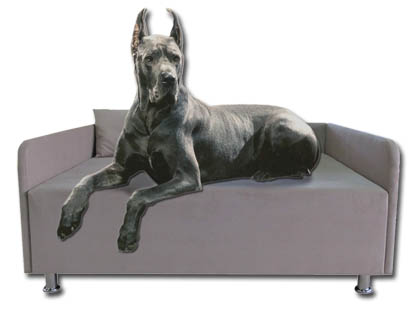 Диваны для крупных пород собак под заказ Диваны для крупных пород собак под заказ