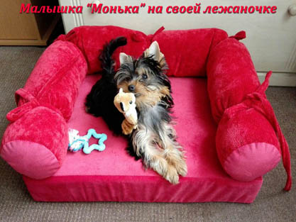 Лежанки для собак на заказ любых размеров Лежанки для собак на заказ любых размеров